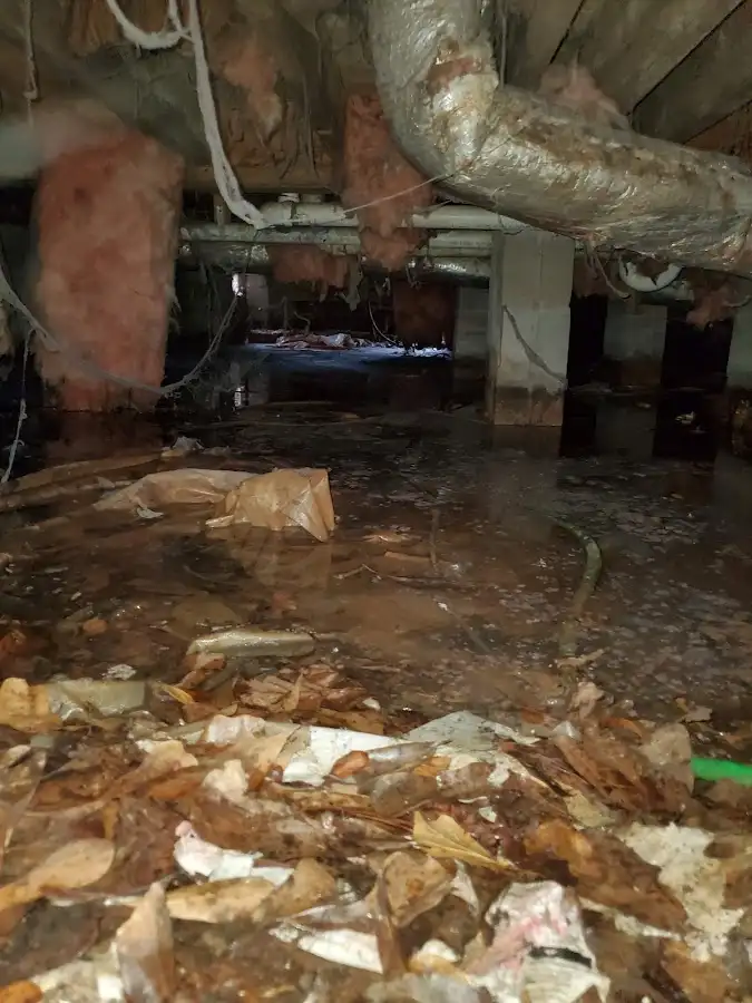 Crawl space flood assessment for Leak Detection & Repair in Arnold